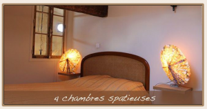 Les Sarments de Sauvage